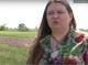 Як фермерка з Чернігівщини вирощує органічну гречку - Відео