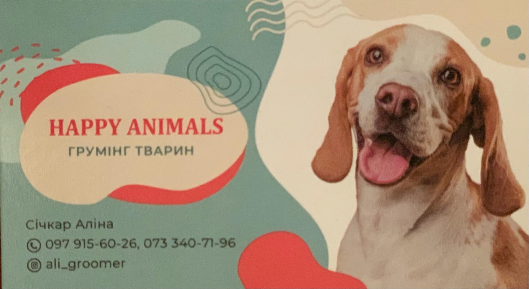 HAPPY ANIMALS Грумінг тварин 