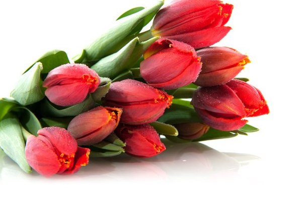 Флешмоб, 8 березня
