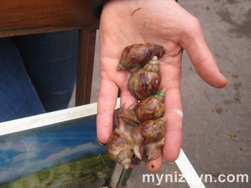 Покровський ярмарок