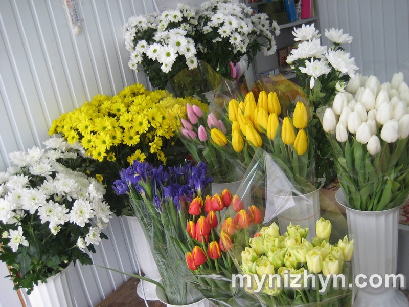 Квіти