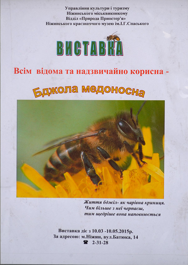 Виставка бджоли