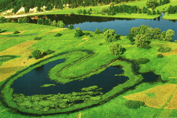 Мезинський парк, озеро Підкова