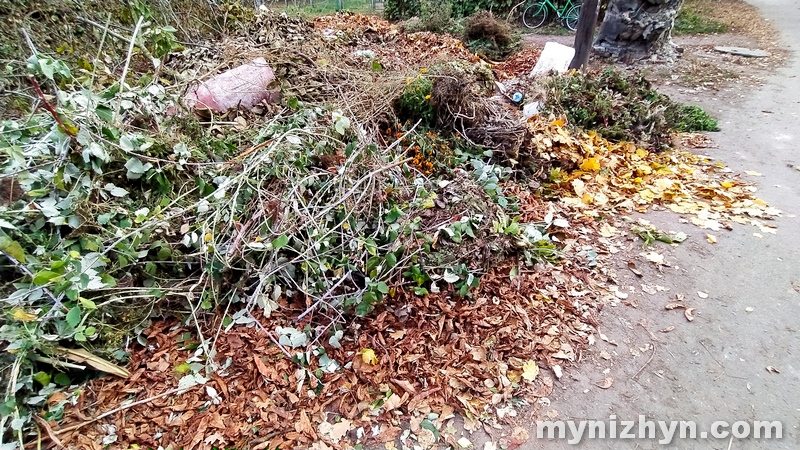 листя, непотріб, сміттєві майданчики, сміттєзвалища