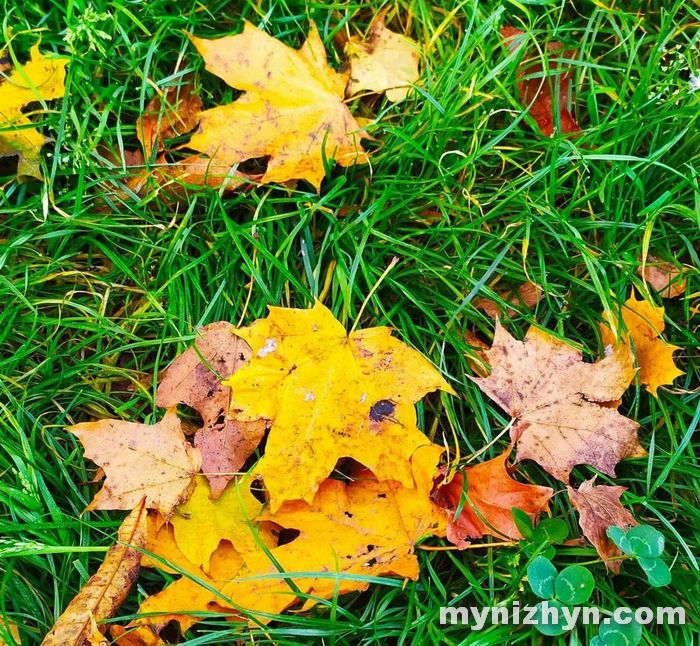 осінь, жовтень, фото