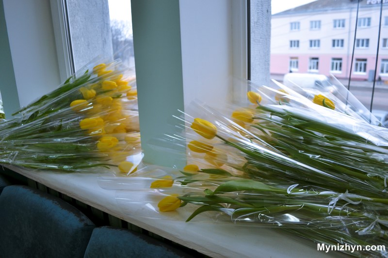 жовті тюльпани, 8 березня ніжин, новини ніжина