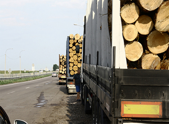 На Чернігівщині припинено спробу нелегального вивезення лісоматеріалів