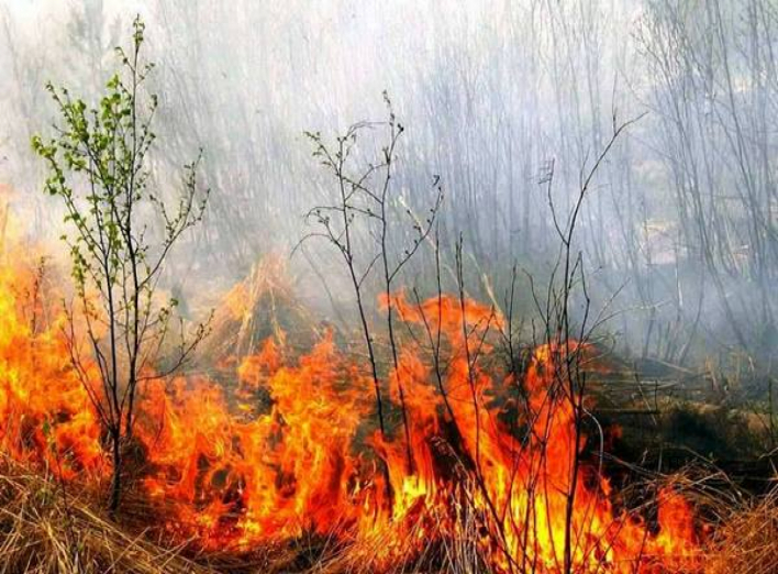 Протягом вихідних на Чернігівщині сталося 6 пожеж