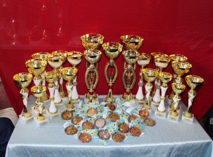 Ніжинські дзюдоїсти завоювали комплект медалей в Житомирі