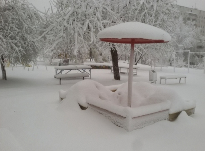 В Україні вирує негода: сніг валить дерева та рве дроти