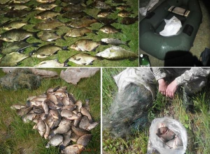 На 75 тисяч гривень за півроку браконьєри наловили риби
