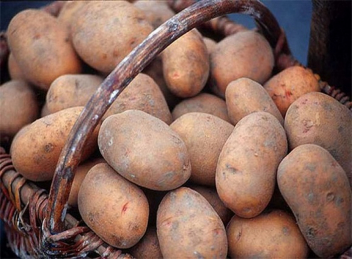 Картоплі в Україні побільшає