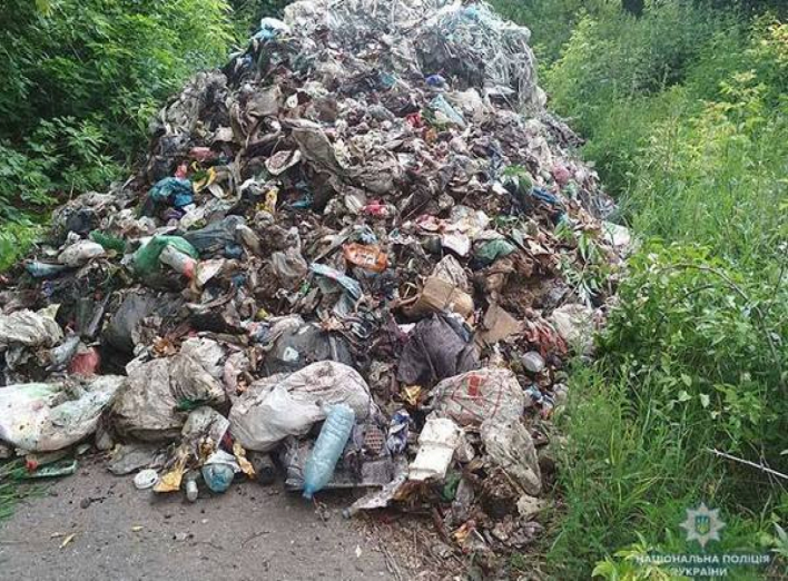 На Чернігівщині вантажівка скинула 12 тонн сміття зі Львова