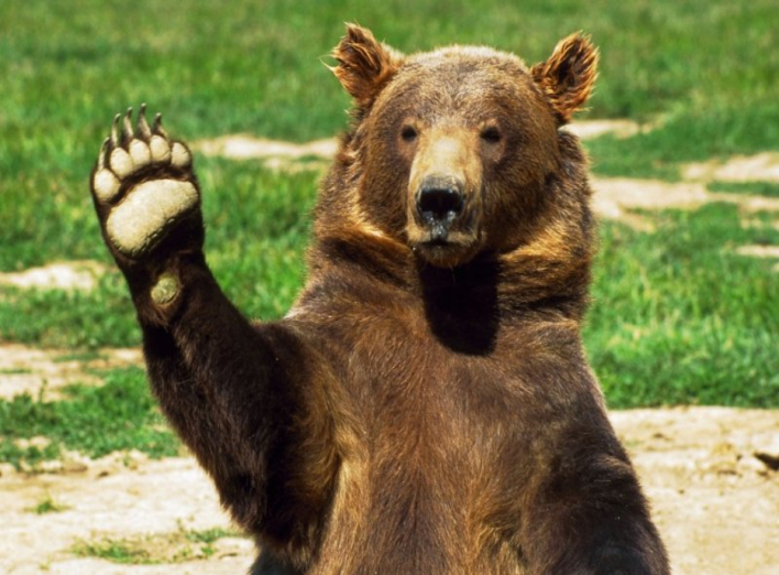 "До Москви будуть ходити тільки ведмеді": Омелян анонсує обмеження