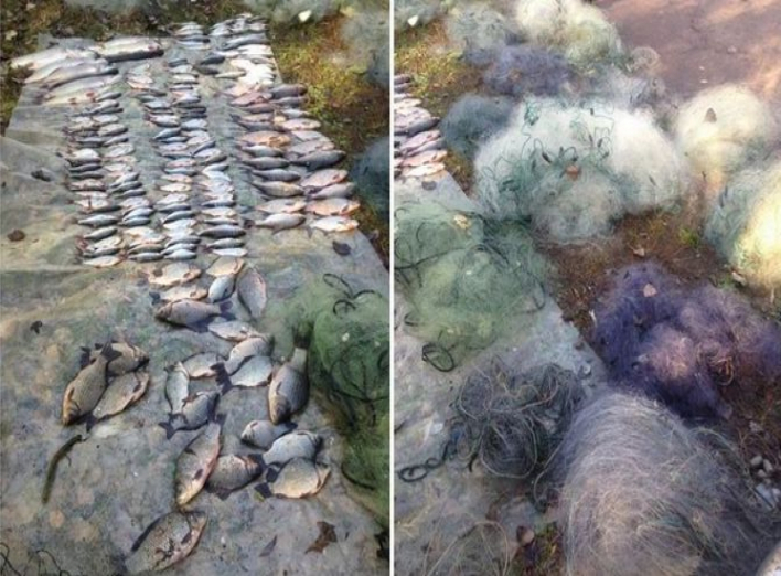 На Чернігівщині затримали інспектора, який виловив риби майже на 25 тисяч
