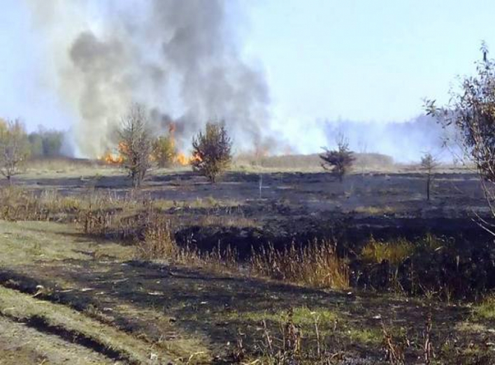 На Чернігівщині вже другий день горять торфовища. Відео
