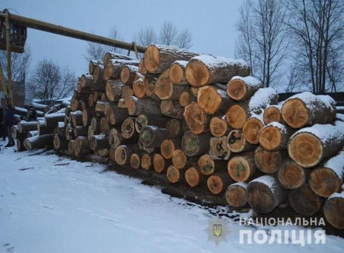 На Чернігівщині поліція затримала групу «чорних» лісорубів
