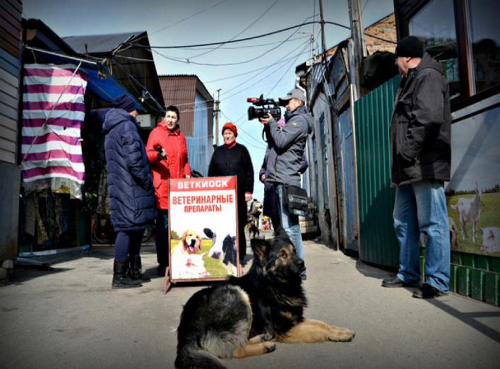 1+1 і  UA: Чернігів знімали у Ніжині сюжет про масове отруєння безпритульних собак