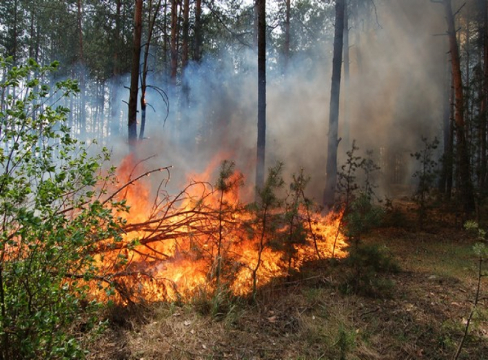 На Чернігівщині надзвичайний рівень пожежної небезпеки