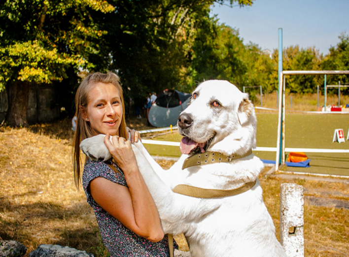 У Чернігові відбулась масштабна виставка собак. Фото