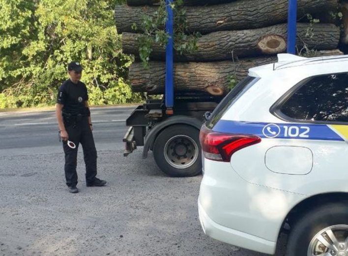 Незаконна вирубка лісу: ніжинська поліція затримала вантажівку заповнену деревиною