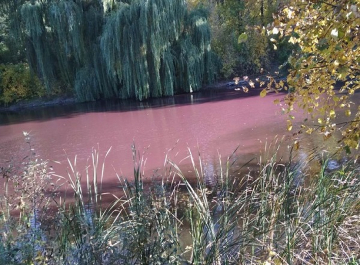 Барви осені, або Чому озеро в Графському парку стало рожевим?