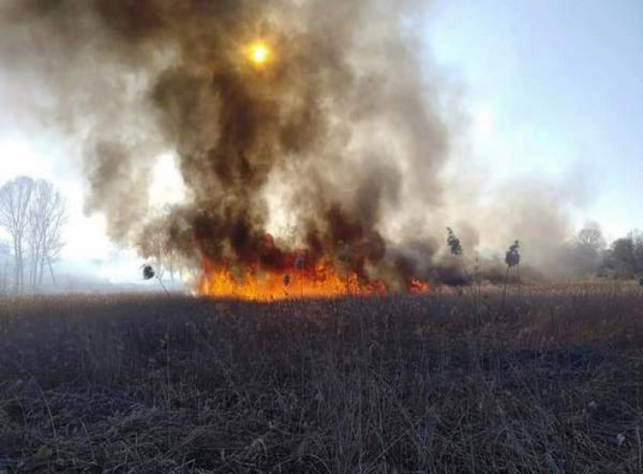 У Ніжині за спалювання сухої трави штрафують: скільки протоколів склала поліція