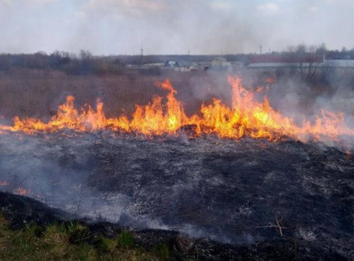 Хто підпалює суху траву? Під Ніжином знову горіло...