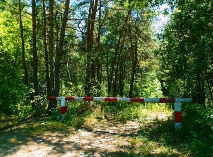 Чи закриють Гуньківський ліс для відвідування та відпочинку?