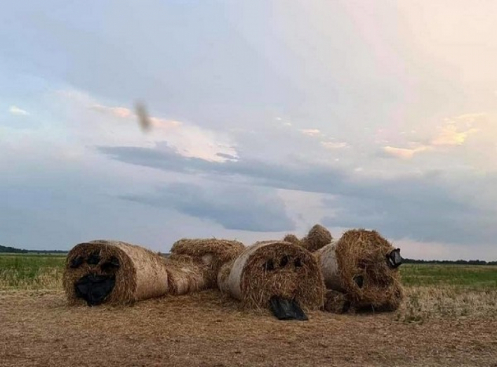 Розірвали «ведмедика»: на Чернігівщині вандали знищили популярну фотозону