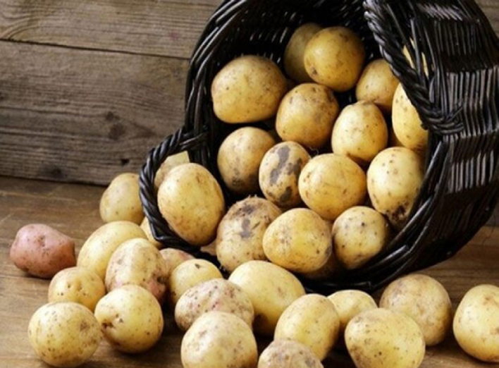 Як обрати оптимальний сорт картоплі для ваших потреб в 2020 році