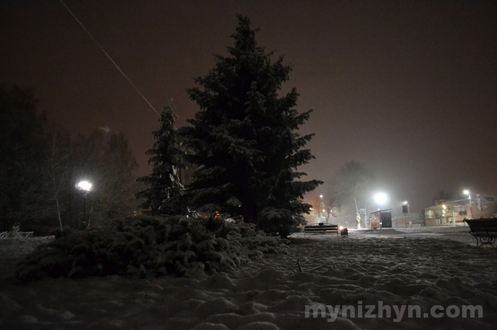 Справжня зимова казка: Ніжин засипав перший сніг. Фото