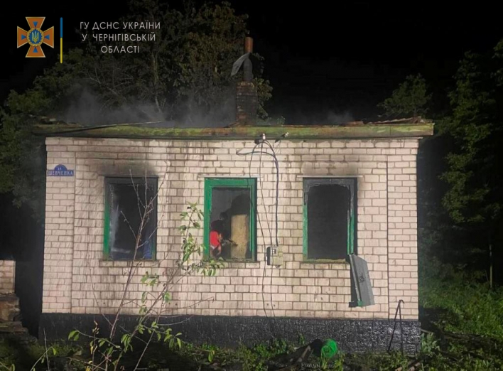 На Чернігівщині пожежа забрала життя молодого подружжя фото
