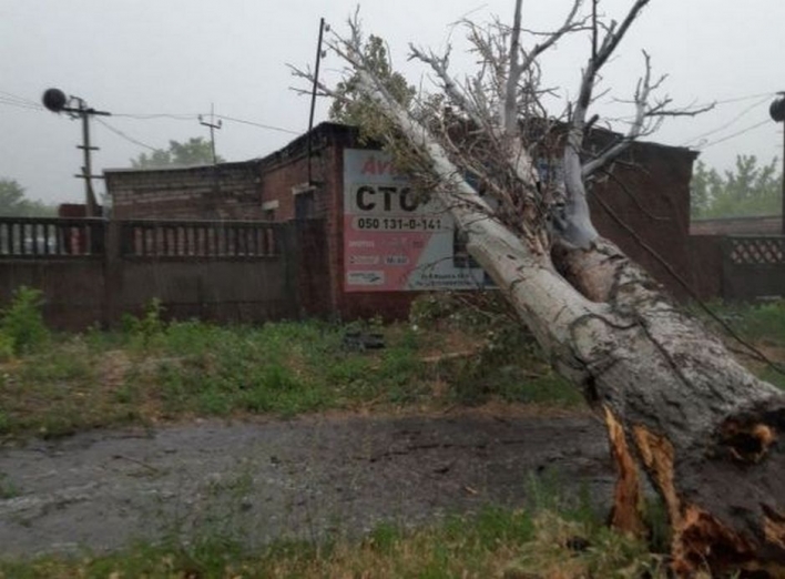 Негода в Україні: 2 загиблих, 7 постраждалих, 99 населених пунктів — без світла. фото