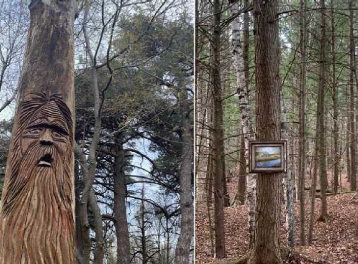 10 незвичних речей, які люди побачили в лісі: цікаві фото