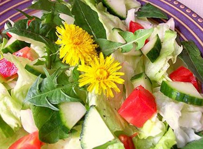 Вітамінні салати з бур'янів фото