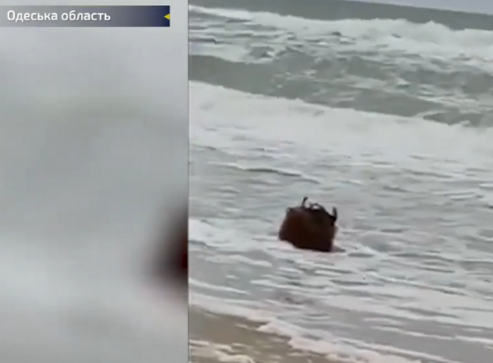 На пляжі в Одесі виявили міну (Відео) фото