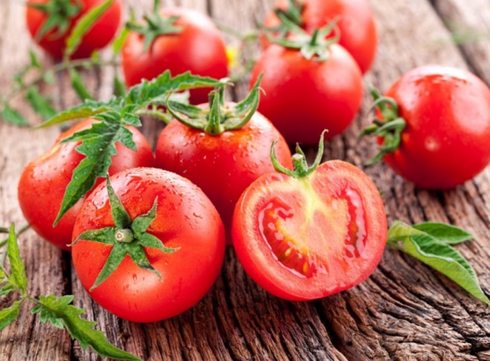Коли та як садити помідори: поради городників фото
