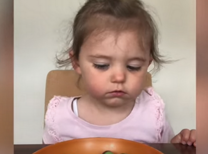 Дівчинка щосили намагалася ігнорувати шоколад, залишений мамою на тарілці (Цікаве відео) фото