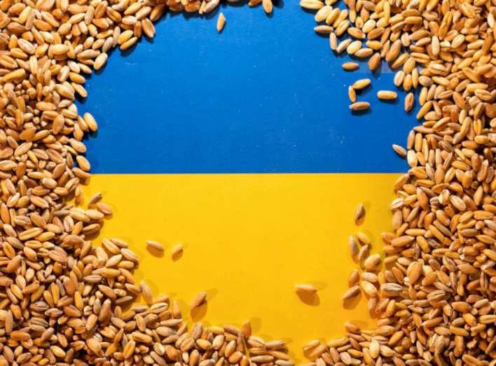 Ембарго на українське зерно та продукти від європейських країн: подробиці фото