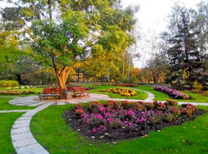 У центрі України є сад незвичайних дерев (Фото) фото