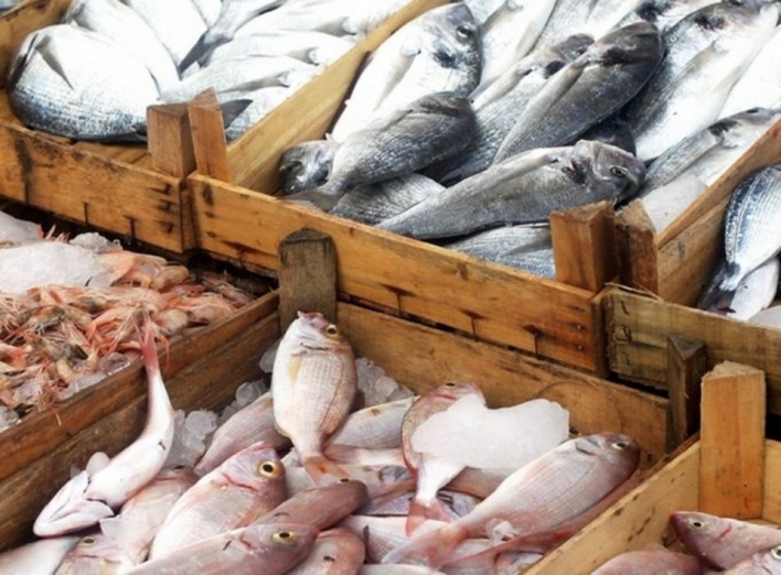 У Ніжині перевірятимуть якість риби після підриву Каховської ГЕС: подробиці фото