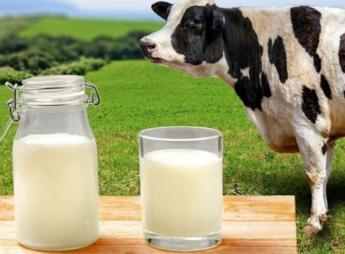 Як перевірити якість молока в домашніх умовах фото