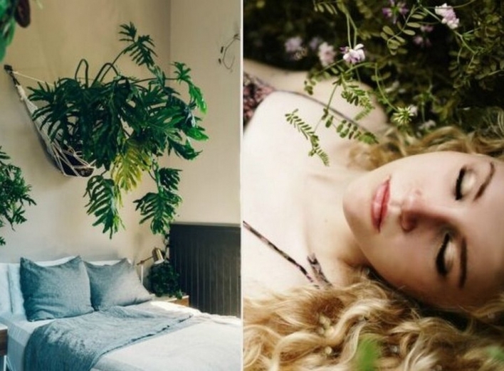 15 рослин, які не можна тримати в спальні фото