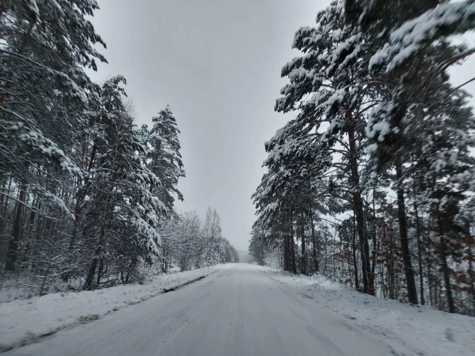 "Погода не стане на заваді захисту": на північному кордоні Чернігівщини зимно (Фото) фото №1