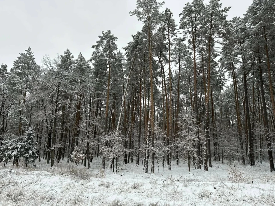 "Погода не стане на заваді захисту": на північному кордоні Чернігівщини зимно (Фото) фото №2