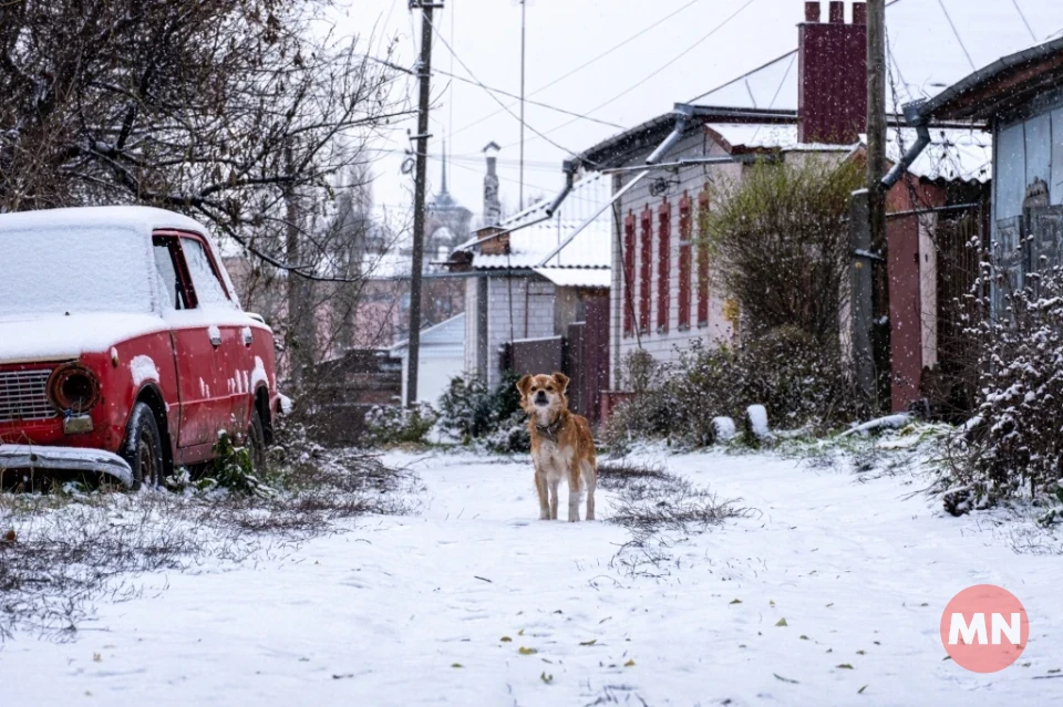  У Ніжині випав перший сніг (Фоторепортаж) фото №21