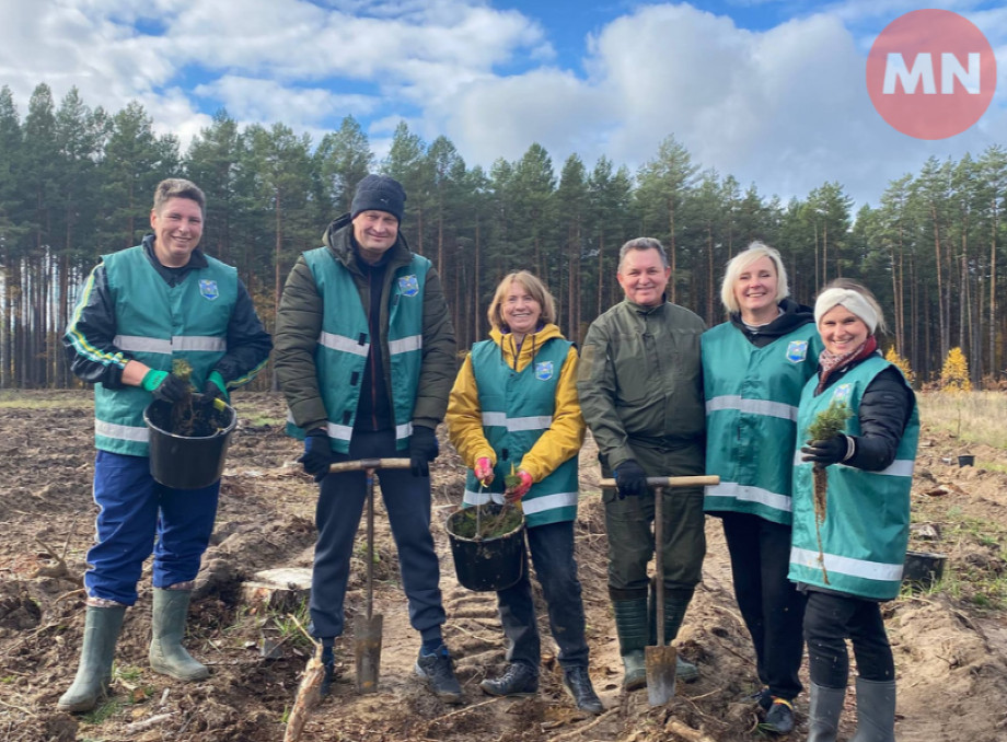 Осіння лісопосадка на Чернігівщині: висадили сосну та березу