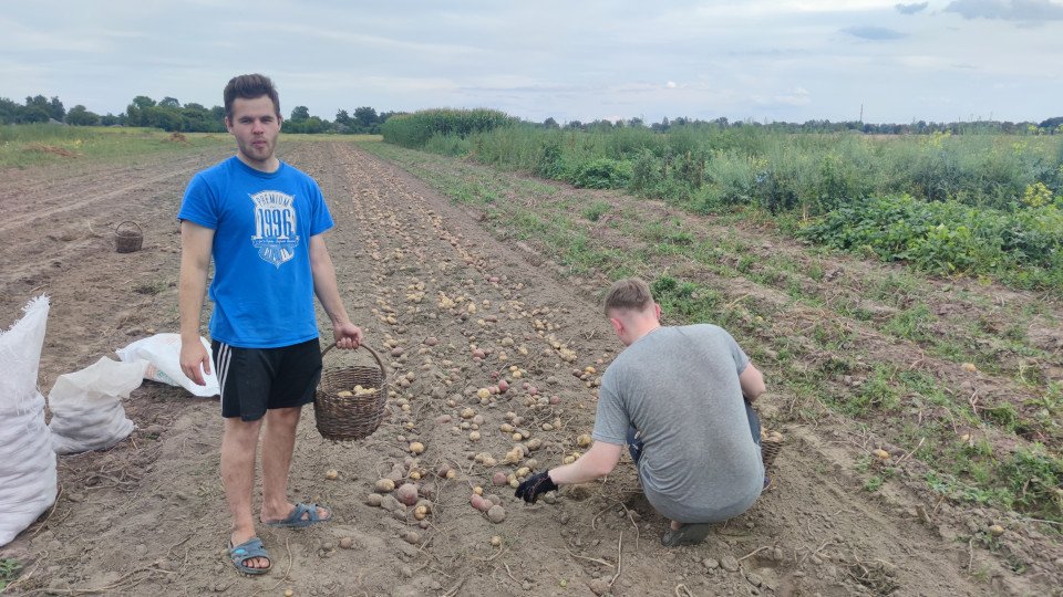 Чернігівщина та Ніжин: господарі розповідають про урожай картоплі 2023 (Фото)  фото №1