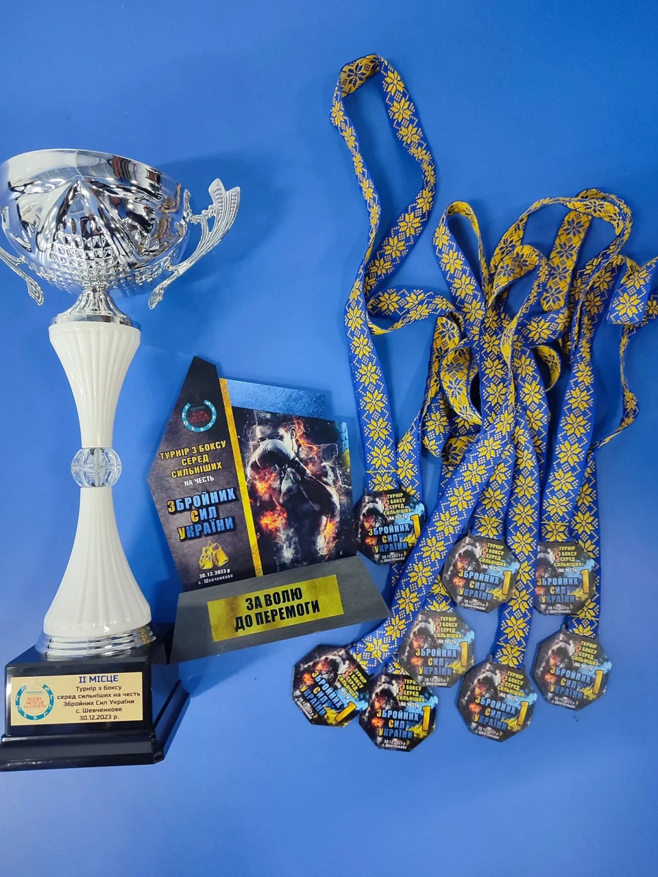 Ніжинські боксери вибороли медалі в турнірі на честь ЗСУ (Фото) фото №2